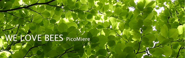 PicoMiere